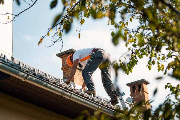 Best Sealant for Roof  in Beechwood, MS